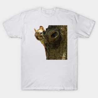 squirrel T-Shirt